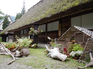 62588260_2308464952564891_8883133656902664192_o