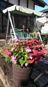 64585304_464543267699511_2064472628931854336_n