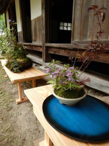 65730880_2308466989231354_5429771370126901248_n