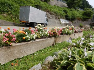 65761567_2308472169230836_6270619966890835968_o