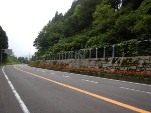 65781837_2308480269230026_1325559411581648896_o