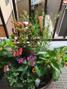 65880140_453478172138344_4966969797666406400_n