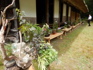 65888010_2308467019231351_9205743094480240640_o