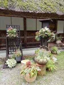 65906886_2308465302564856_3054336275671678976_n