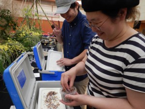 65916299_2310140549063998_6182904137567436800_o