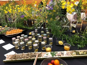 65966290_2294580060618925_4407602684488581120_o