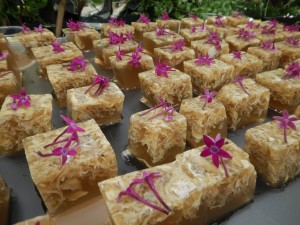 66134573_2310138475730872_8856018995787071488_o