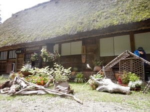 66141792_2308471619230891_4280152124140027904_o