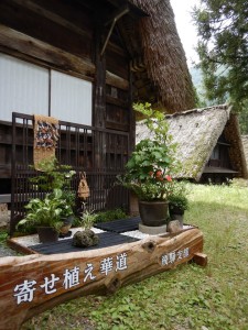 66178516_2308468515897868_4520636512798244864_n