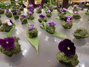 66208957_2310139072397479_8529778107526152192_o