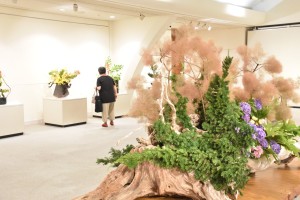 66243767_2292050294213973_696086663922712576_o