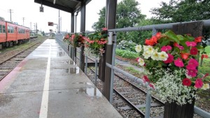 66250192_2312485572120609_4173277897408118784_n