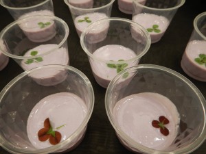 66251895_2310138959064157_7976552935020560384_o