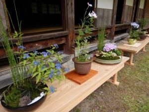 66257557_2308467009231352_1904539063419928576_o