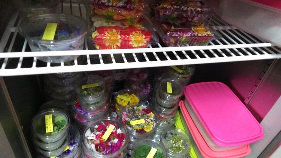 日々感謝です🌸