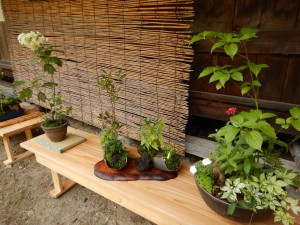 66283596_2308465655898154_6777063642643824640_o