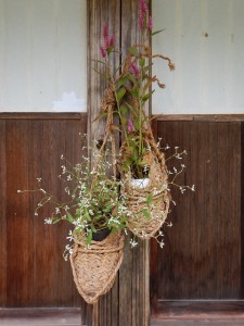 66303856_2308464555898264_7336579907150938112_n