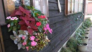 66338427_2515091001891121_7699914211744284672_n