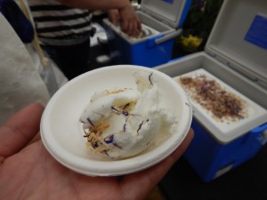 66365177_2310140622397324_5613739340699009024_o