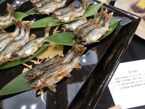 66389448_2310138755730844_968677681170219008_o