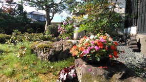 66391509_1846596898809252_4912967670615244800_n