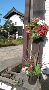 66644514_1154783431372619_3722256496822583296_n