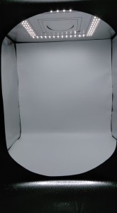 66684410_1393885200766870_204702204366422016_n