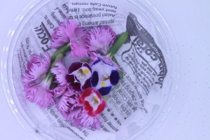 66708950_424280804825267_3091858488654036992_n