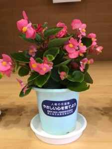 67071141_2155239264598222_8368145367052582912_n