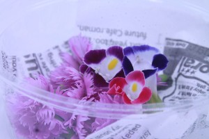 67078626_697007850748198_1449398887981776896_n