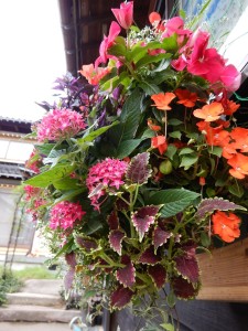 67089907_1076226212567094_1065819670923182080_n