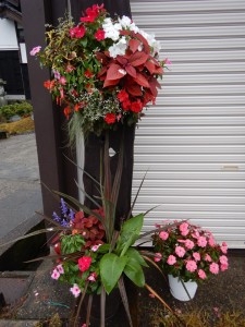 67122351_341102473460868_8719852456441282560_n