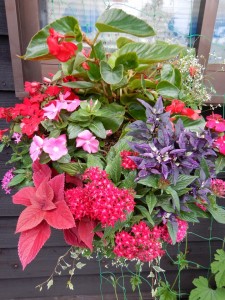 67161529_611192332737034_6384568722018795520_n