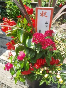 67197014_1139751042880512_9136875686185664512_n