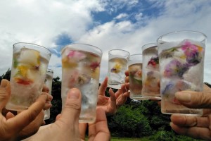 67214997_2346521392092580_659651906594930688_n