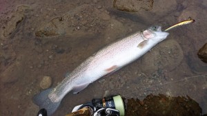 67254493_2335372283207491_4112404651612045312_n