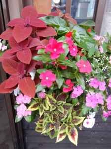 67264899_485446622264457_6970807590141820928_n