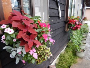 67265105_477982429449578_4443055934415044608_n