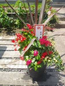 67355465_331121277769843_4785043504222961664_n