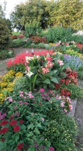 67389083_1616621425140880_9121564600221827072_n