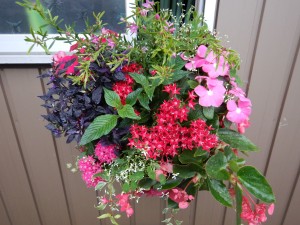 67401727_887356661637743_7409240613381472256_n