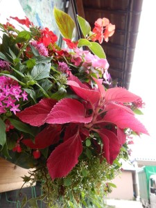 67412286_2404817646239166_4684180221660758016_n