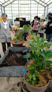 67422230_2346520175426035_100421832938618880_n