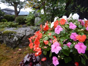 67423201_2383868348564196_8589371921219452928_n