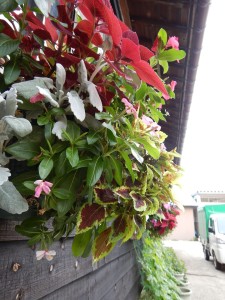 67442712_756262758144009_7147093122646802432_n