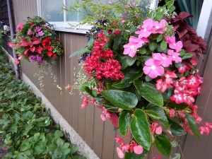 67472598_3160904357285196_8522008692076314624_n