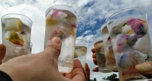 67478820_2346521468759239_6371391057980030976_n