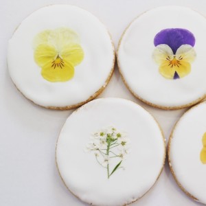 67488594_2176886495767693_4710840904733163520_n