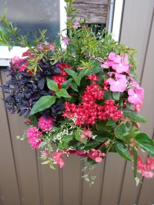 67526539_761598547609249_8011340997592088576_n