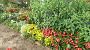 67553729_368200253844613_2356792045877592064_n